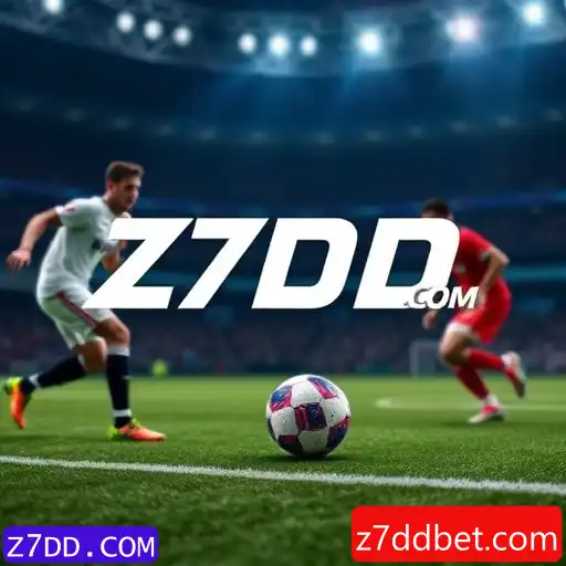 Security and Trust Z7DD.COM - International Licenses and Certifications